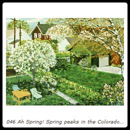 046 Ah Spring! Spring peaks in the Colorado Garden